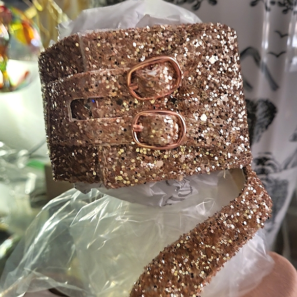 Pleaser USA, Exotic, Dancer Stripper, Club Shoes, Platform, Rose  Gold Giltter. - Picture 6 of 9